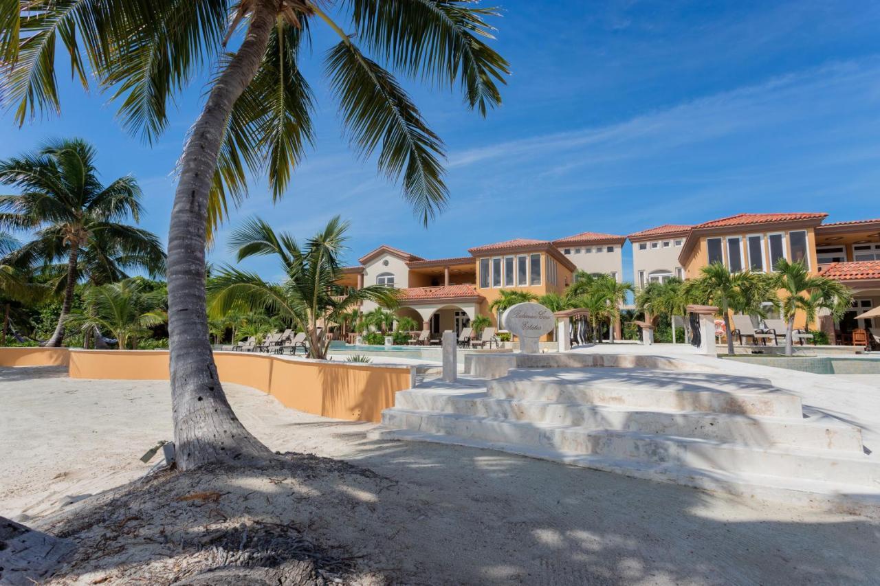 Belizean Cove Estates Luxury Beachfront Villa San Pedro  Dış mekan fotoğraf